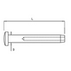 Stainless Steel Flat head terminal 